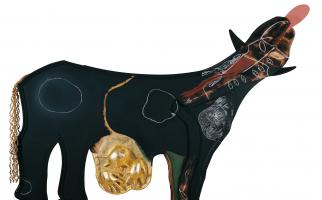 2000.La vaca de la mala llet. Tècnica mixta sobre fusta, 180 x 220 x 18 cm.