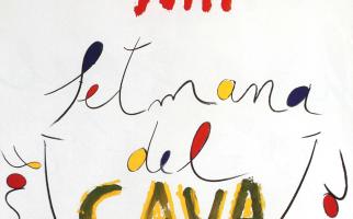 1994. XIII Setmana del cava de Sant Sadurni d'Anoia (Públic)