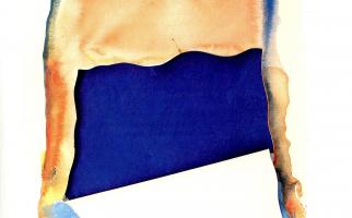 Portada e il·lustracions llibre de Xavier Bru de Sala